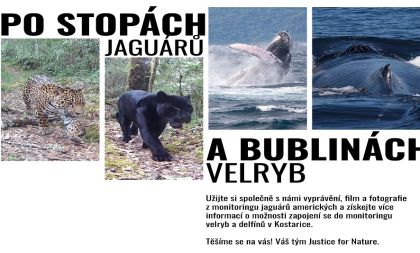 Po stopách jaguárů a bublin velryb