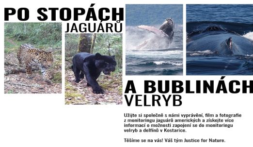 Po stopách jaguárů a bublin velryb