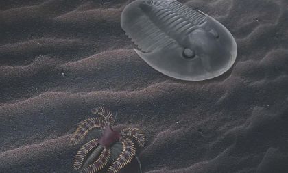 Velké a malé bytosti ordovického moře aneb unikátní okno do pravěku