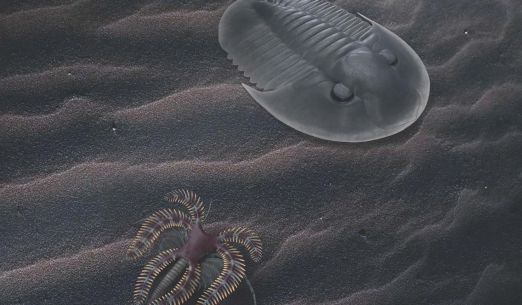 Velké a malé bytosti ordovického moře aneb unikátní okno do pravěku