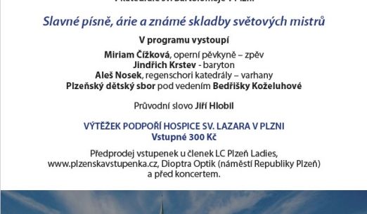 7. varhanní charitativní koncert