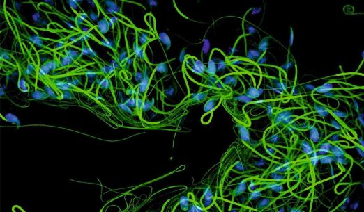 Bohatství mikrosvěta