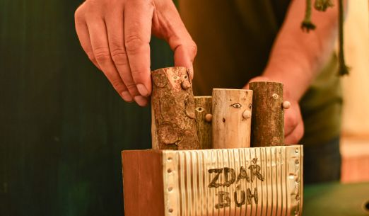 Les plný princezen aneb Do půlnoci budeš doma