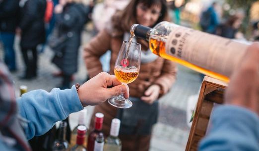 Svatomartinský košt v Plzni 2025