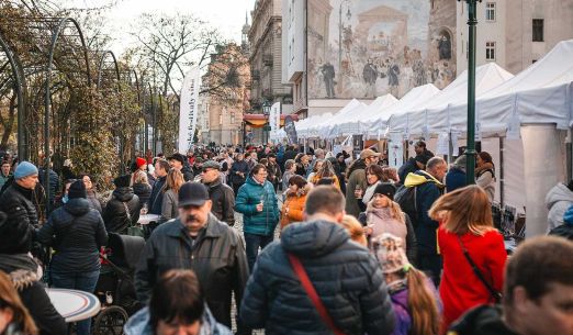 Svatomartinský košt v Plzni 2025