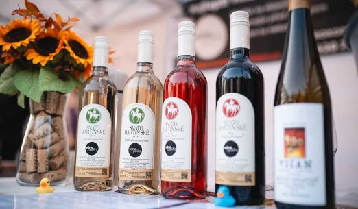 Svatomartinský košt v Plzni 2025