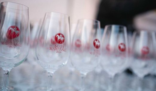 Svatomartinský košt v Plzni 2025