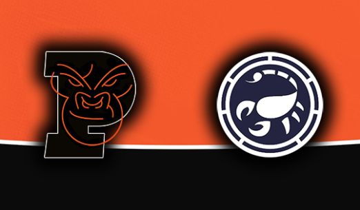 ATT Gorily Plzeň - FBC Štíři Č. Budějovice