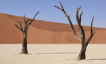 Namibie: Labyrint pouště a ráj barev