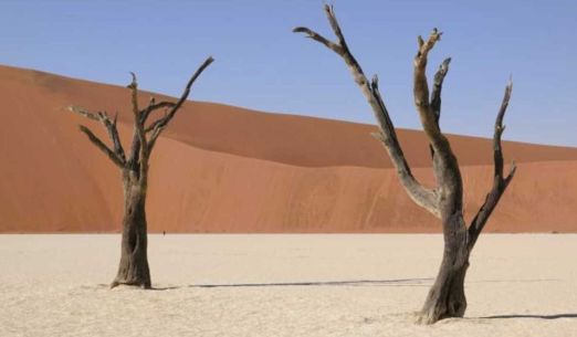 Namibie: Labyrint pouště a ráj barev