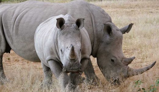 Namibie: Labyrint pouště a ráj barev