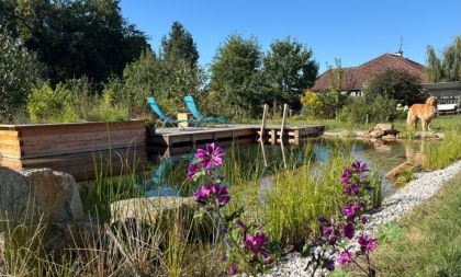 Kořenové čistírny a koupací jezírka v praxi + exkurze