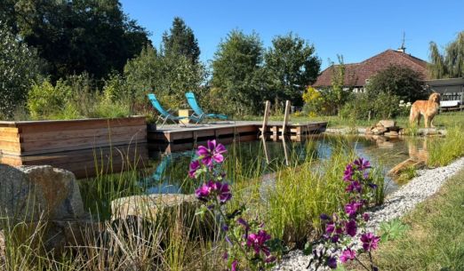 Kořenové čistírny a koupací jezírka v praxi + exkurze