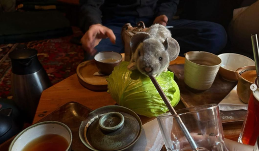 Fascinující svět hudby - světoví skladatelé 20. a 21. století