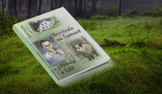 Bejvávalo na Šumavě