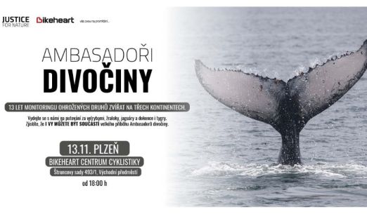 Přednáška: Ambasadoři divočiny
