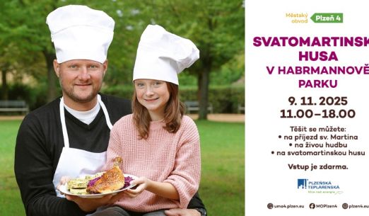 Svatomartinská husa