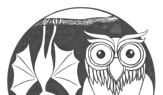 Otázky netopýra Ušíka