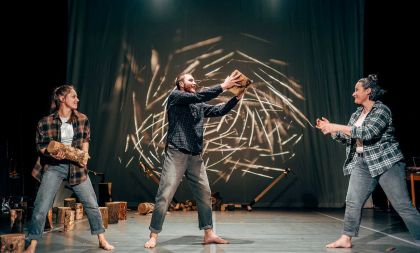 Nedělní pohádkový expres: Divoké husy