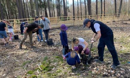 Den pro les: Sázení stromů v lese v Zábělé