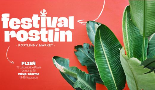 Festival rostlin