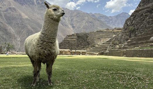 Pyrenejský vrcholový trail