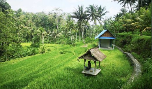 Pyrenejský vrcholový trail