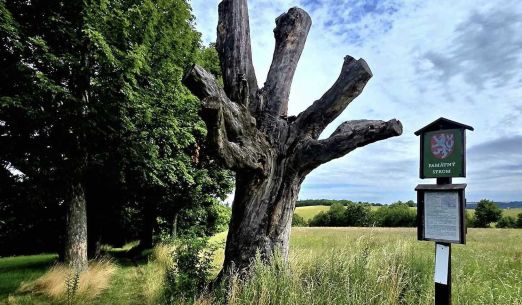 Stezka Českem: 2000 km podél hranic ČR