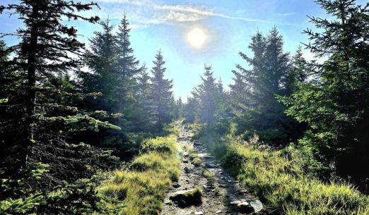 Kolem světa 2026: Cestovatelský festival