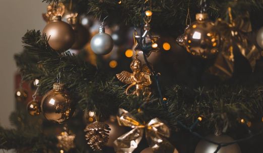 Advent a Vánoce v katedrále sv. Bartoloměje