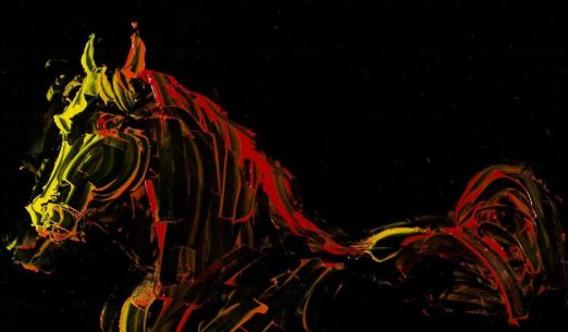 O!pla – Animated focus on Poland