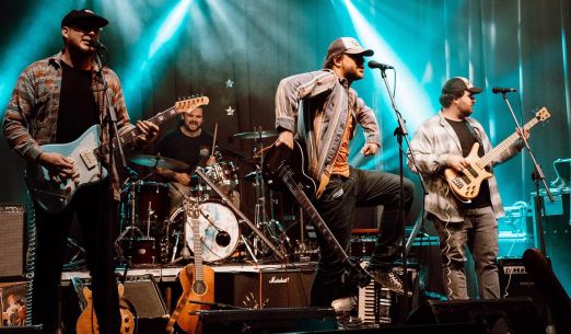 Bonnie, Don't panic a Radical Anarchists