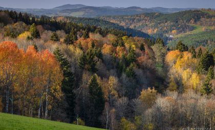 Američané na Sušicku