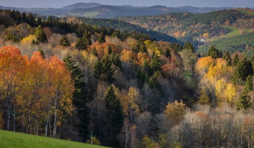 Američané na Sušicku