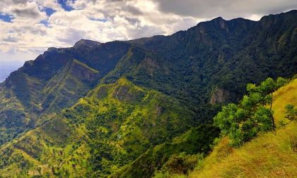 Tomáš Kubeš: Tanzanie – nejúžasnější safari