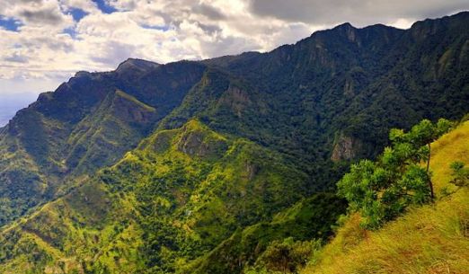 Tomáš Kubeš: Tanzanie – nejúžasnější safari