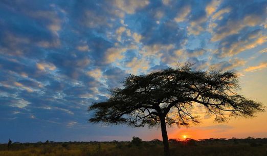 Tomáš Kubeš: Tanzanie – nejúžasnější safari