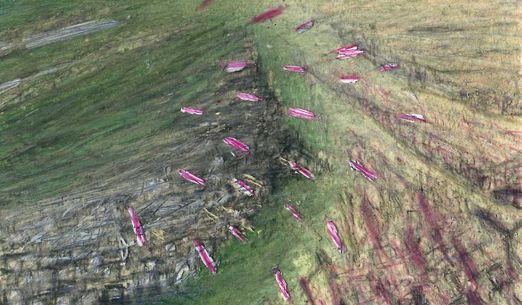 Kinokavárna Animánie 2026