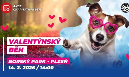 Valentýnský běh v Plzni