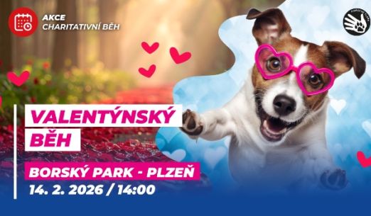 Valentýnský běh v Plzni