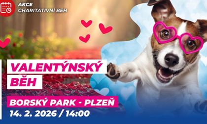Valentýnský běh Plzeň