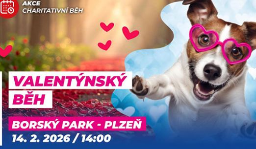 Valentýnský běh Plzeň