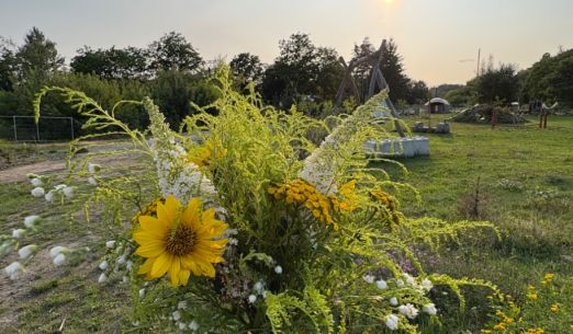 Hravá dílna - Den Země