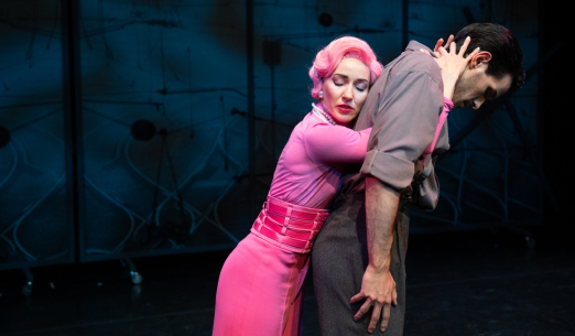 Návštěva staré dámy