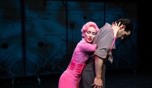 Návštěva staré dámy