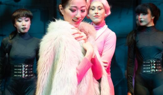 Návštěva staré dámy