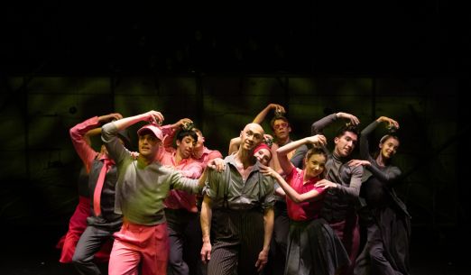 Návštěva staré dámy