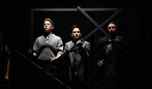 Návštěva staré dámy