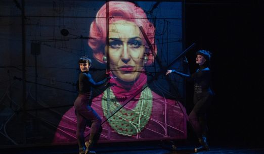 Návštěva staré dámy