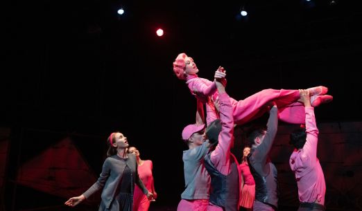 Návštěva staré dámy